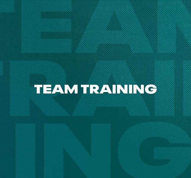 MTC_Skills_Classes_Tile_TEAM_TRAINING